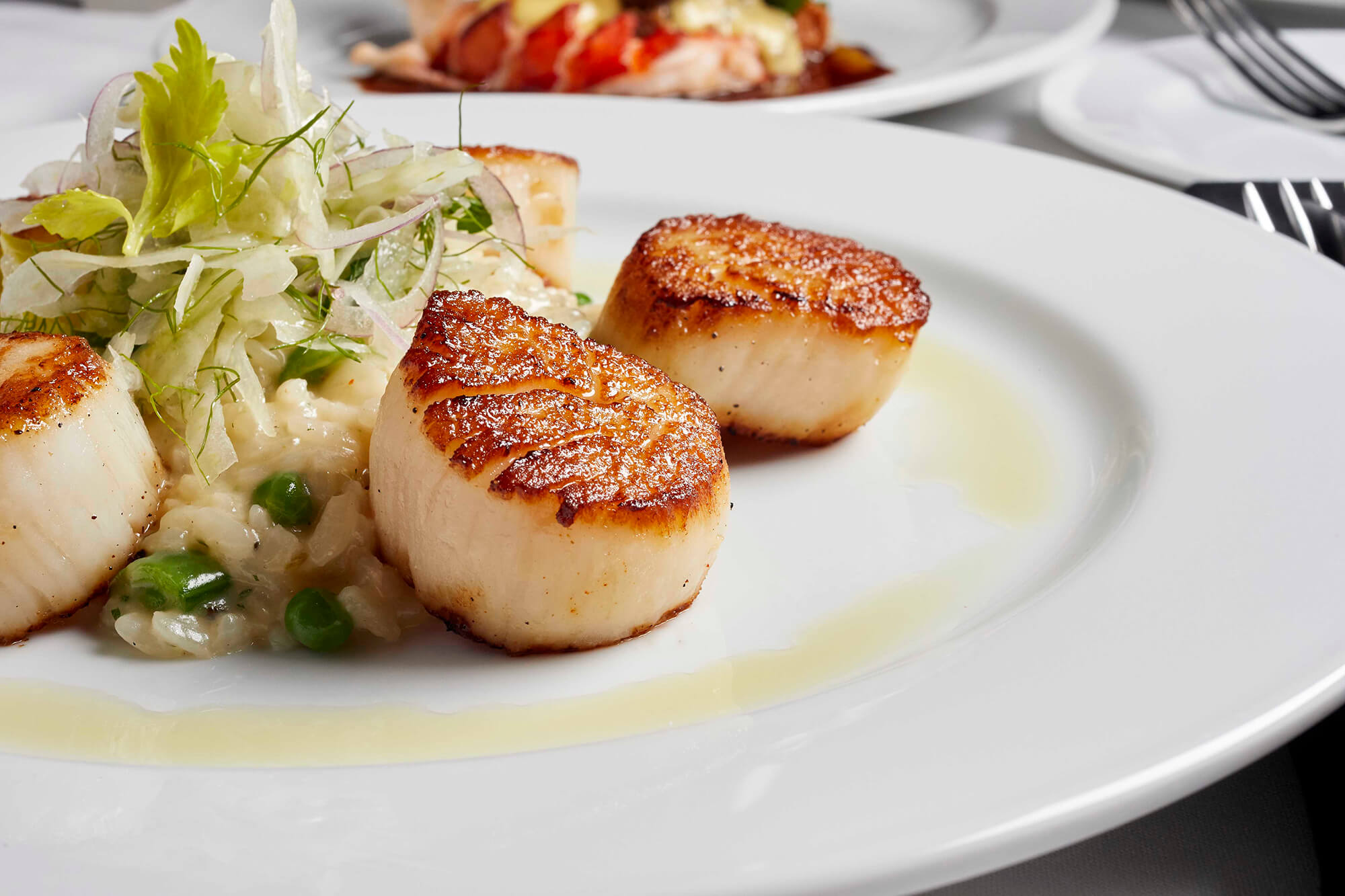 Dinner with scallops on a plate